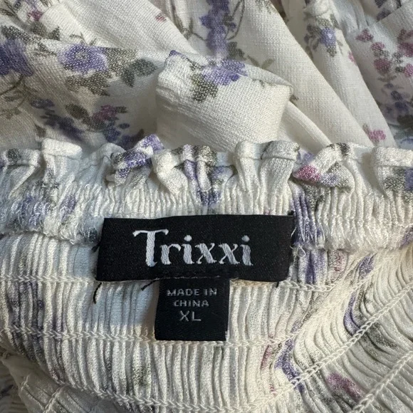 Trixxi Cream and Blue Floral Maxi Dress - Picture 5 of 5